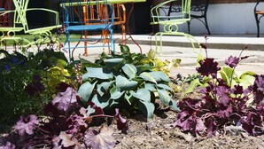 Espace extérieur aménagé avec des chaises colorées et un jardin où l’on peut admirer différentes espèces de plantes.