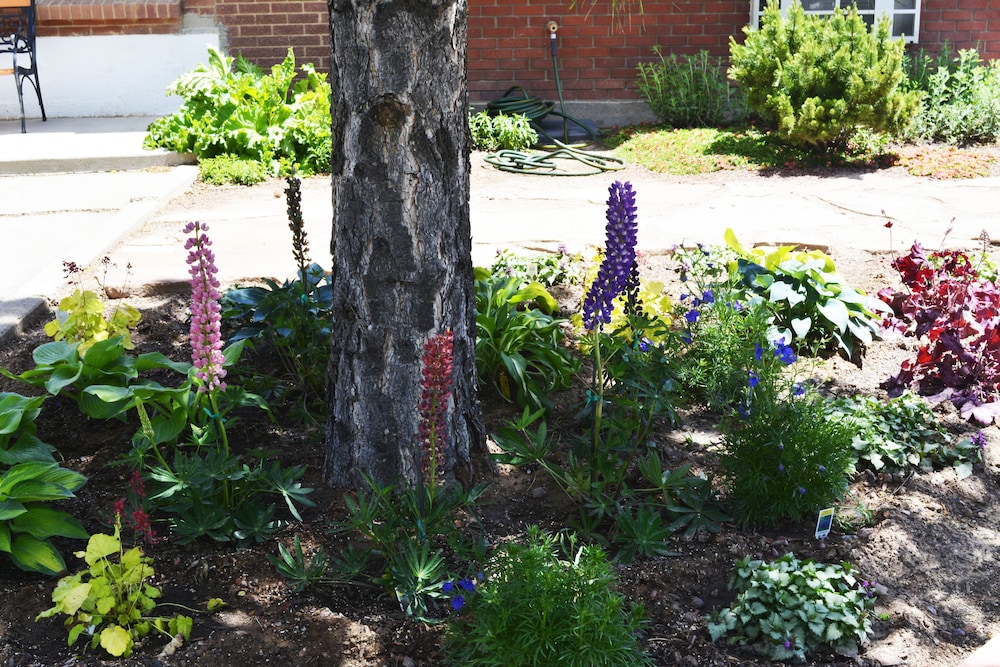 Retro Inn at Mesa Verde by null