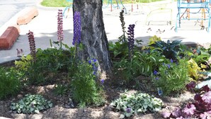 Un jardin avec différentes plantes et fleurs, un arbre et des chaises colorées en arrière-plan.