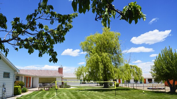 Une cour arrière avec un filet de volley-ball, une maison et un grand arbre.