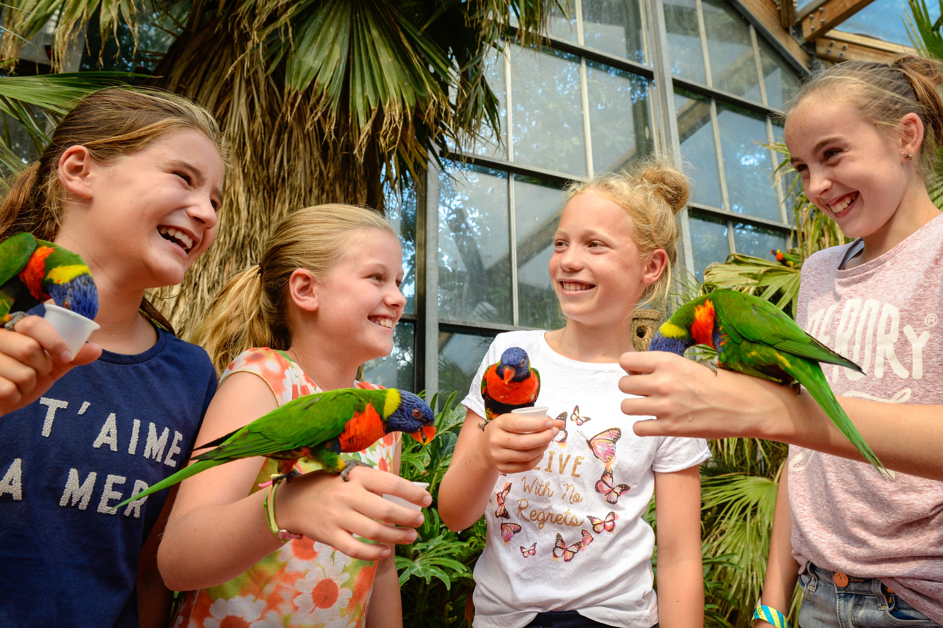 Photo - Van Der Valk Avifauna