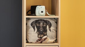 Un meuble en bois contenant un appareil photo et un coussin orné d’un motif représentant un chien.