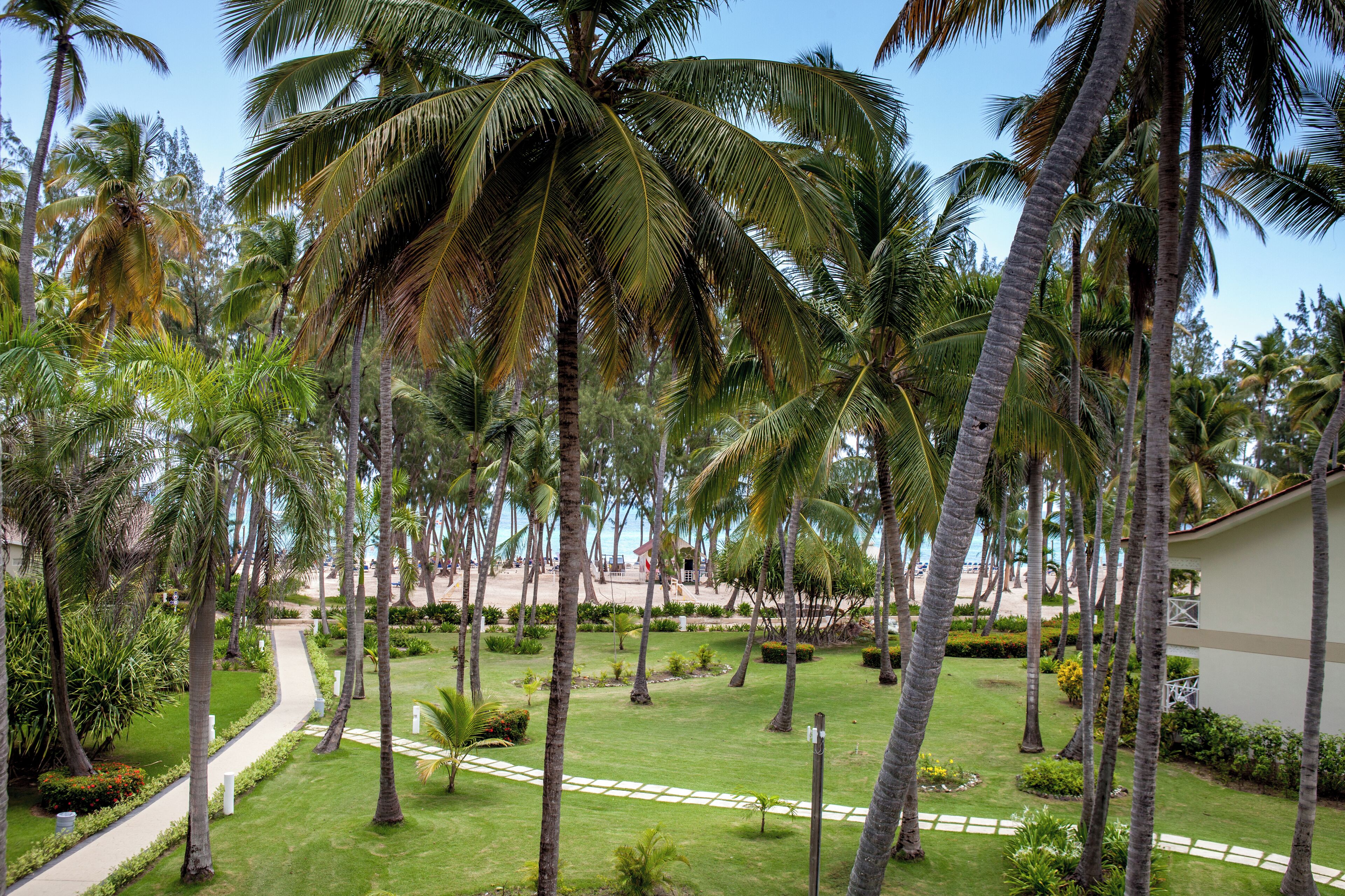 A tropical resort with palm trees, a pathway, and a beach in the background.