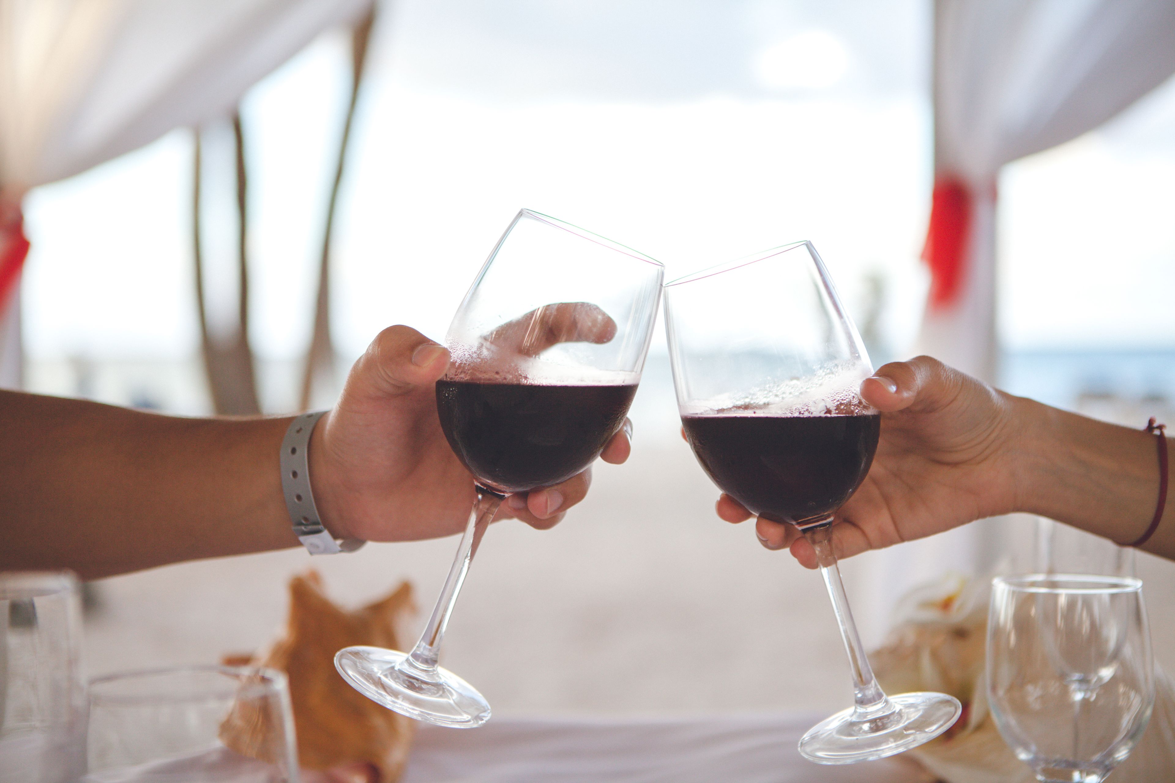 Two people toasting with wine glasses at a table with a view of the sea.