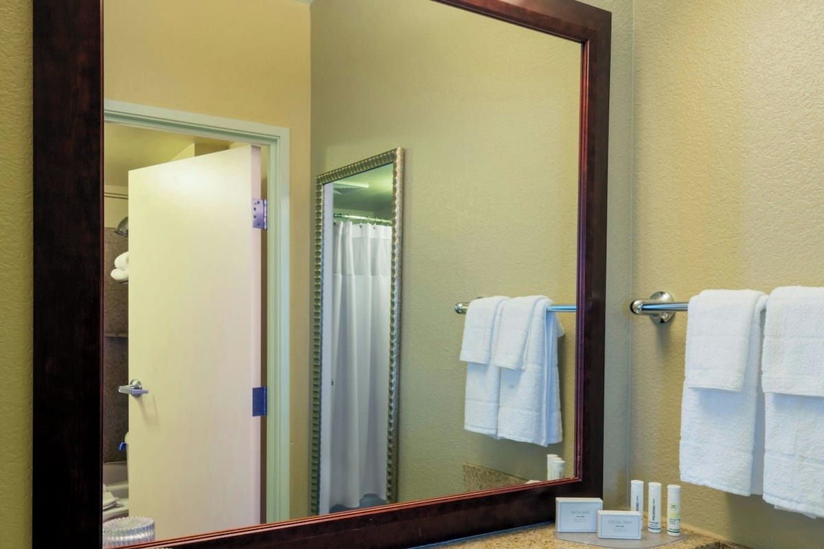 combined shower/bathtub, free toiletries, hair dryer, towels