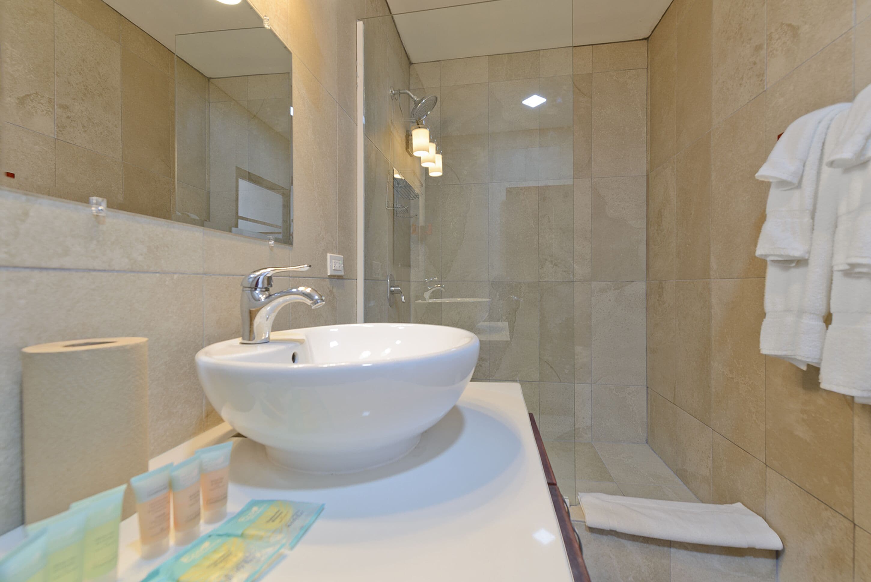 panoramic room | bathroom | shower, free toiletries, hair dryer, towels