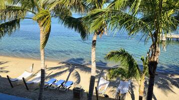 Relax on the beach with a clear ocean view, surrounded by palm trees and comfortable seating.