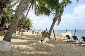 Una playa con palmeras, una hamaca y sillas de playa.