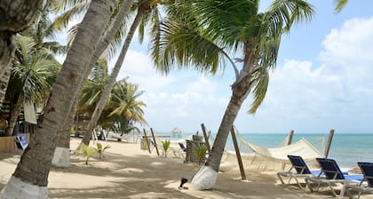 Parrot Cove Lodge