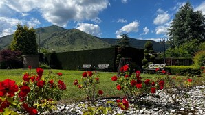 Un jardín con rosas rojas, setos y un banco.