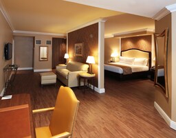 Una habitación de hotel con cama, sofá, sillón, escritorio y televisor.