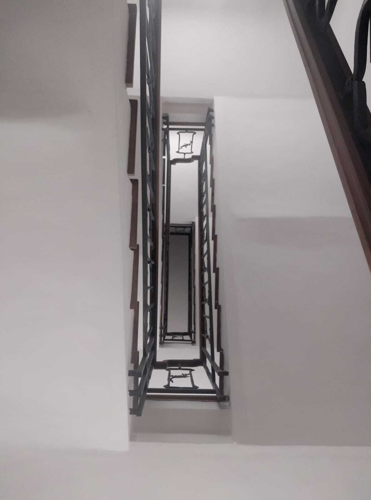 Foto - Villa Raffaello Park Hotel