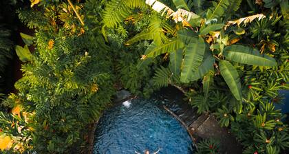 Montaña de fuego Mountain Resort & Spa