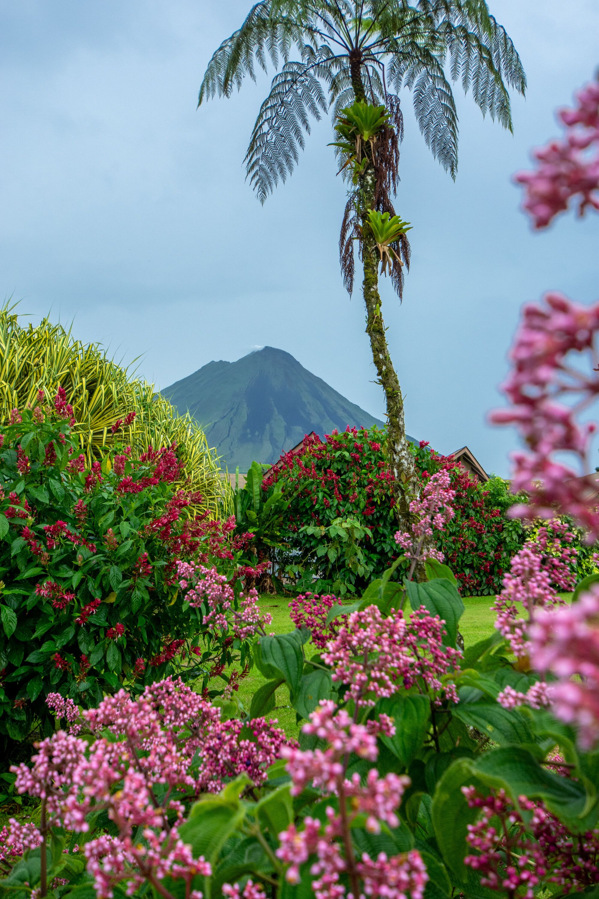 Jardín