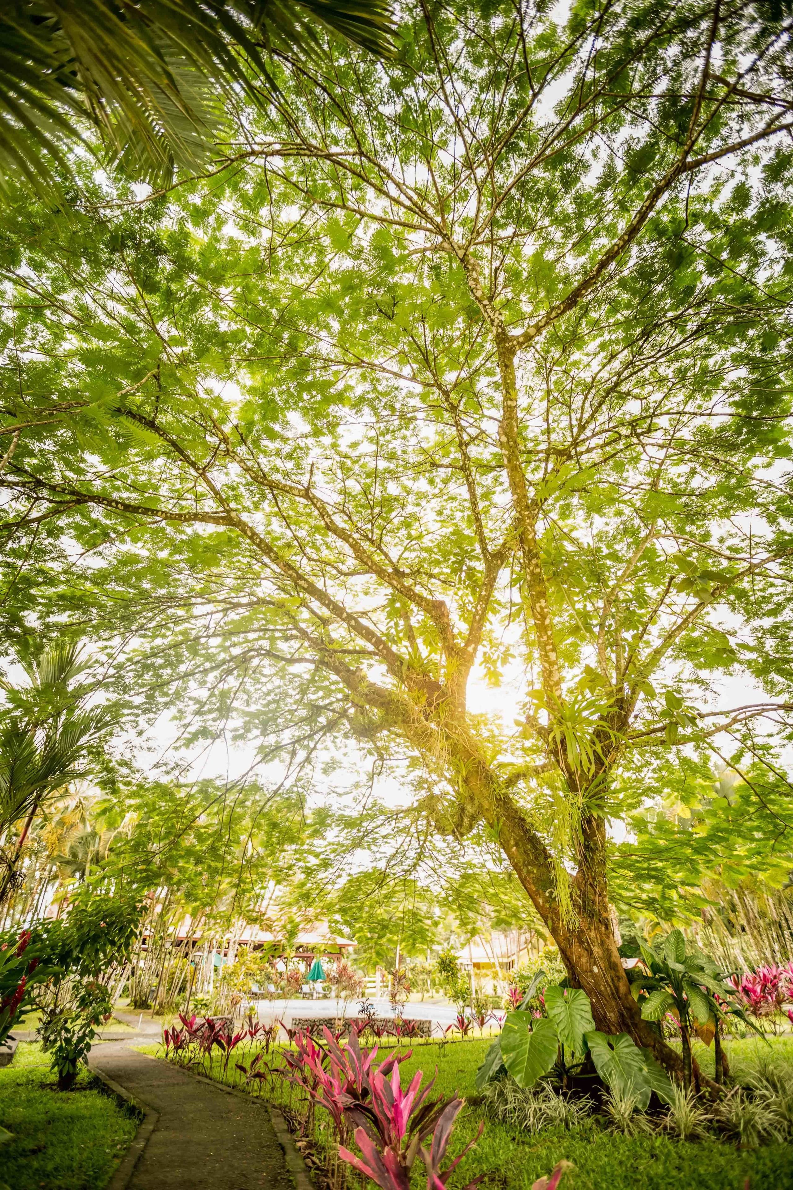 Photo - Hotel Arenal Country Inn