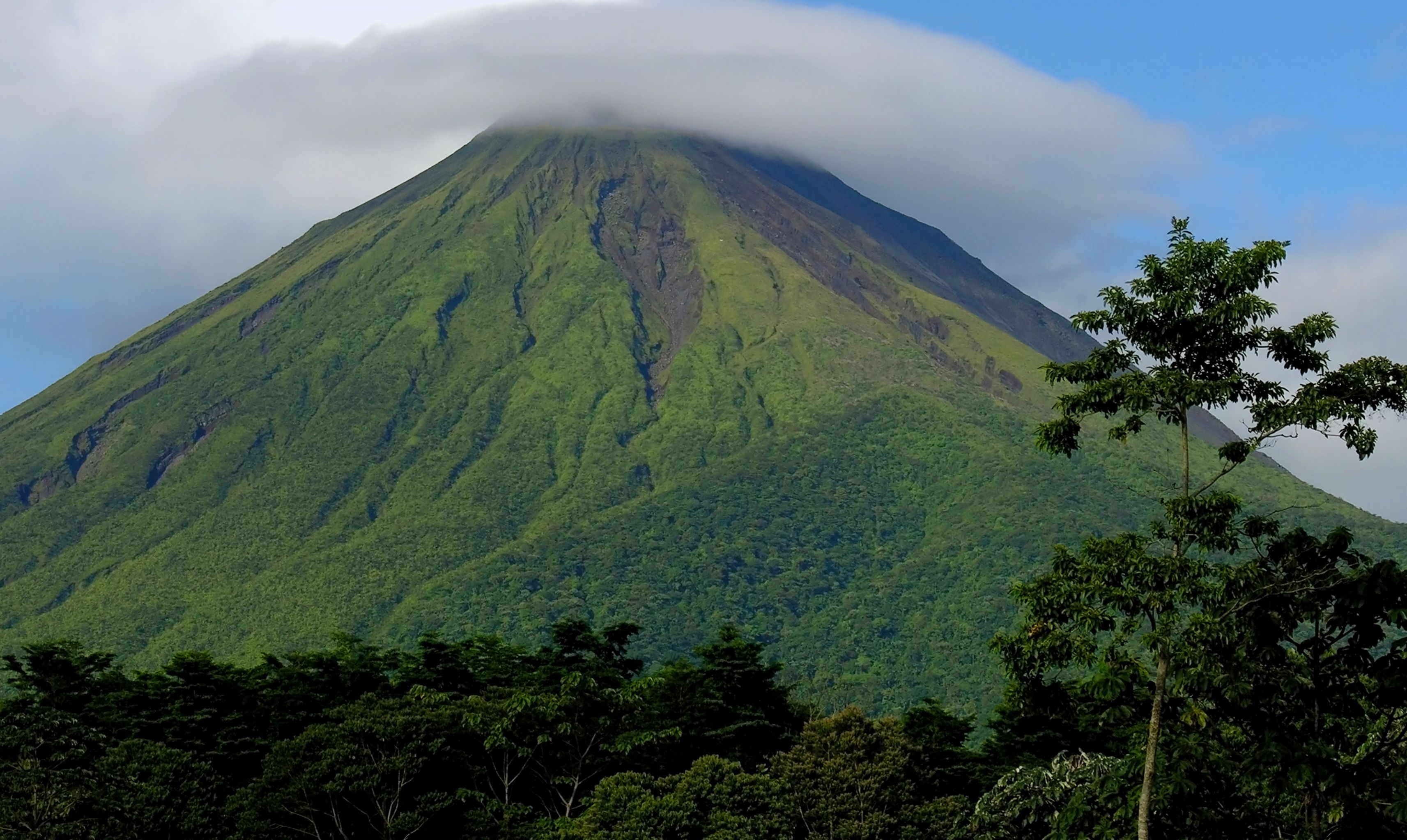 A mountain with a dense forest at its base and a cloud partially covering its peak.