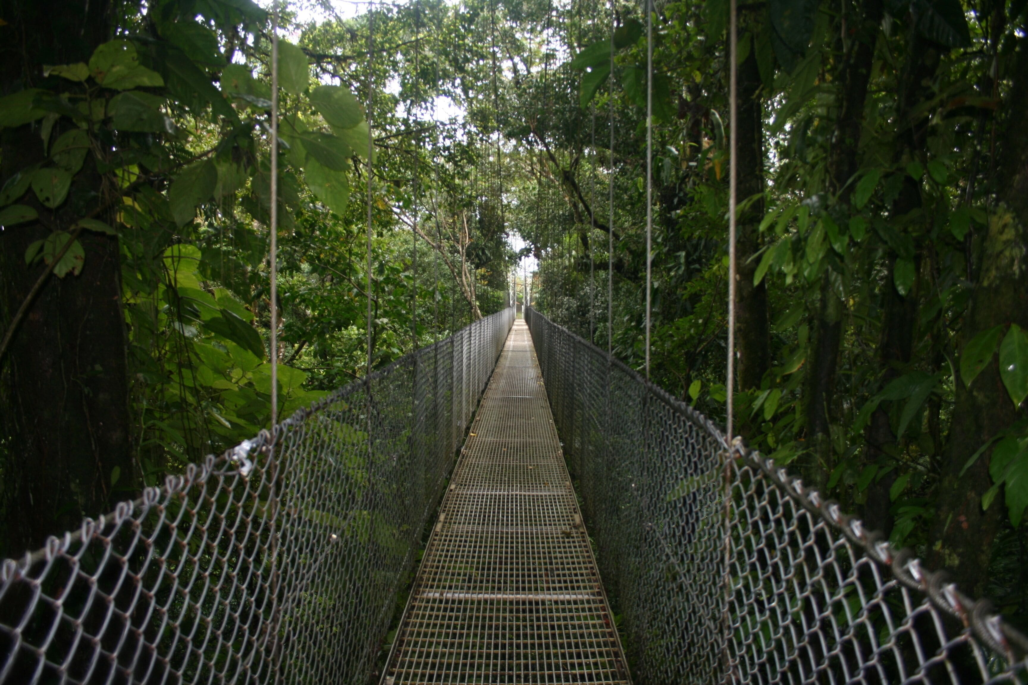 Photo - Hotel Arenal Country Inn