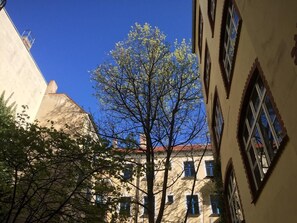 Eksteriør