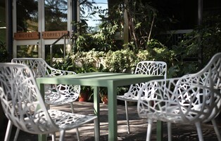 Desayuno buffet diario (EUR 5 por persona)