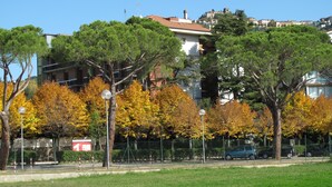 Un parc avec des arbres, une clôture et un bâtiment en arrière-plan.