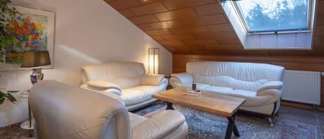 A cozy loft-style room with a sloped ceiling, a large skylight, and a patterned rug.