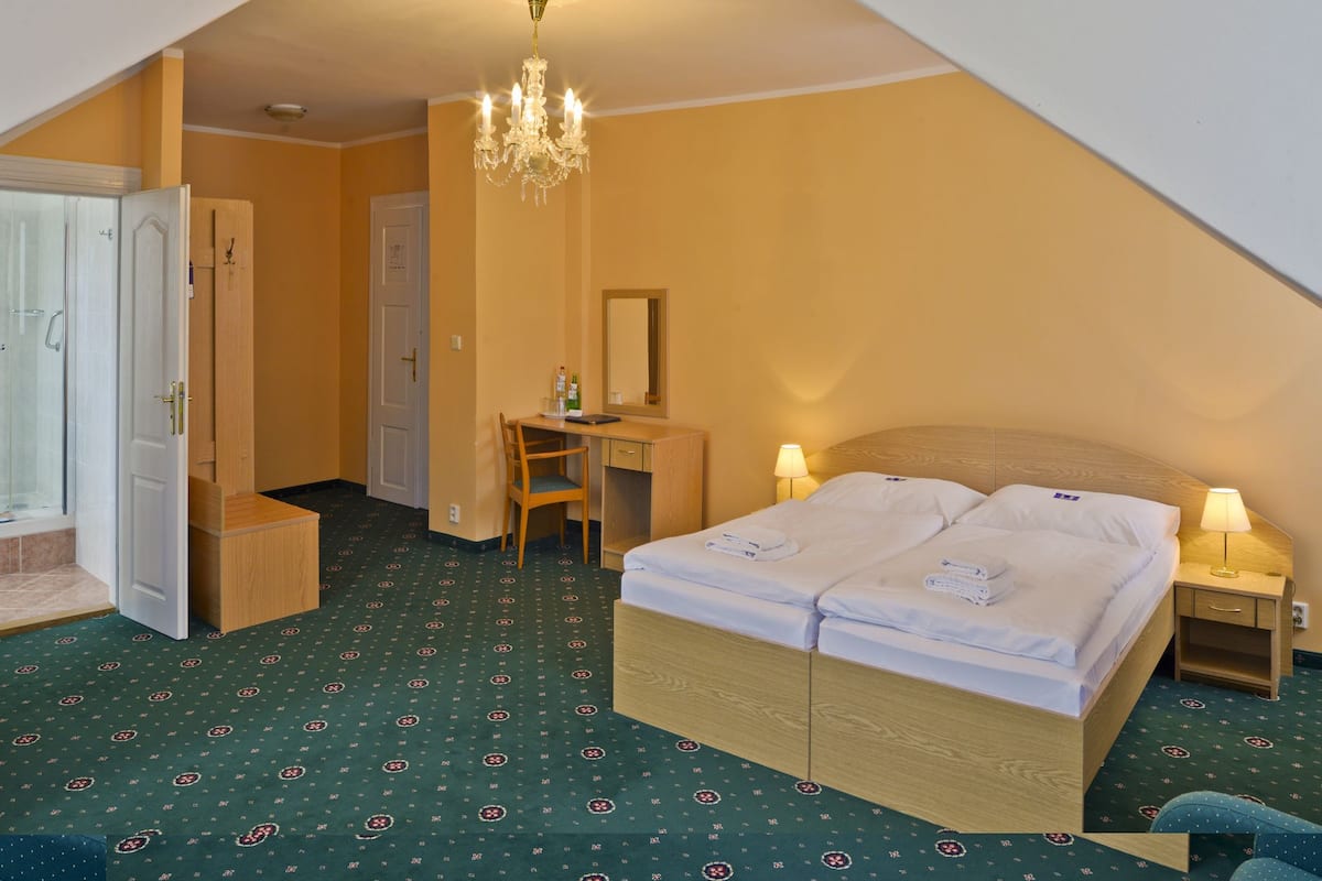 Desk, iron/ironing board, free WiFi