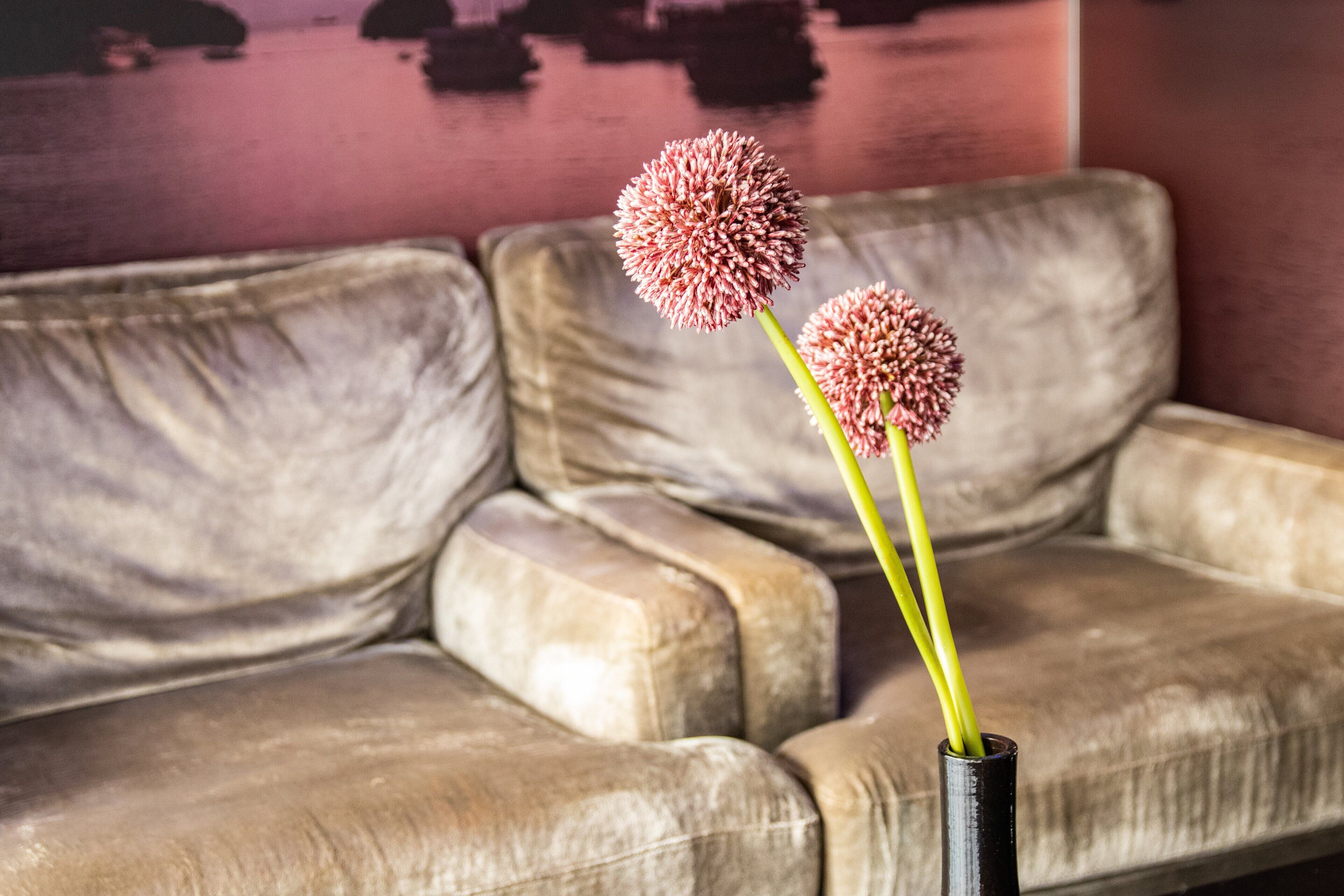 suite (21) | living area | 43-inch tv with cable channels