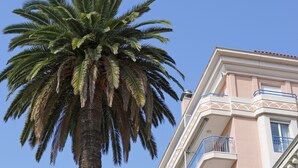 Una palmera alta frente a un edificio de varios pisos con balcones.