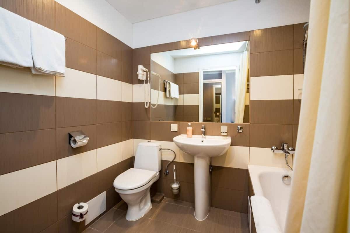 combined shower/bathtub, free toiletries, hair dryer, towels