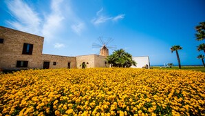 Un edificio con un molino de viento, rodeado por un campo de flores amarillas, bajo un cielo azul despejado.