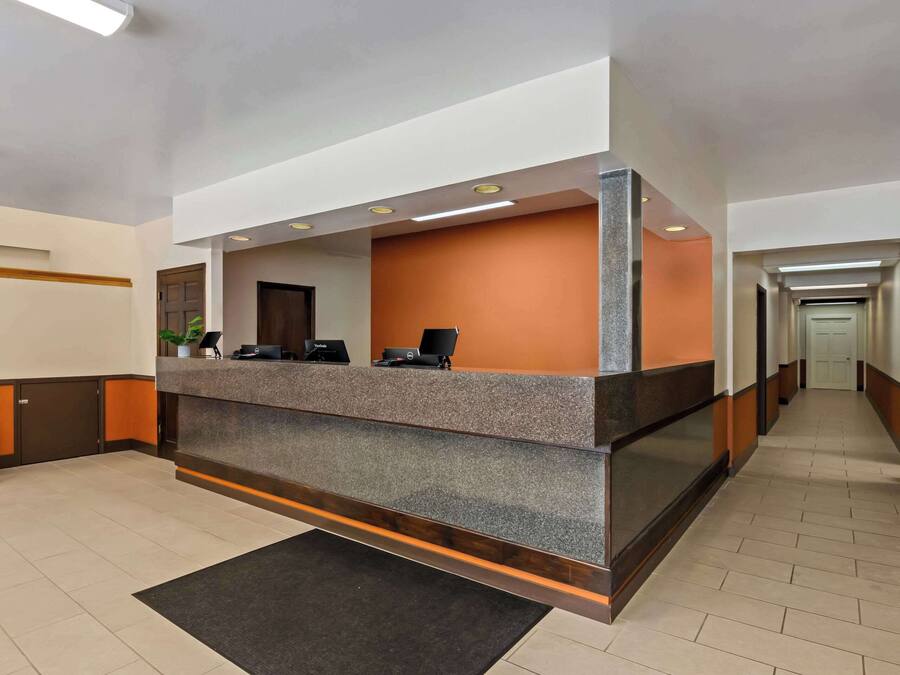 A reception desk with a modern design, a plant, and a desk lamp.