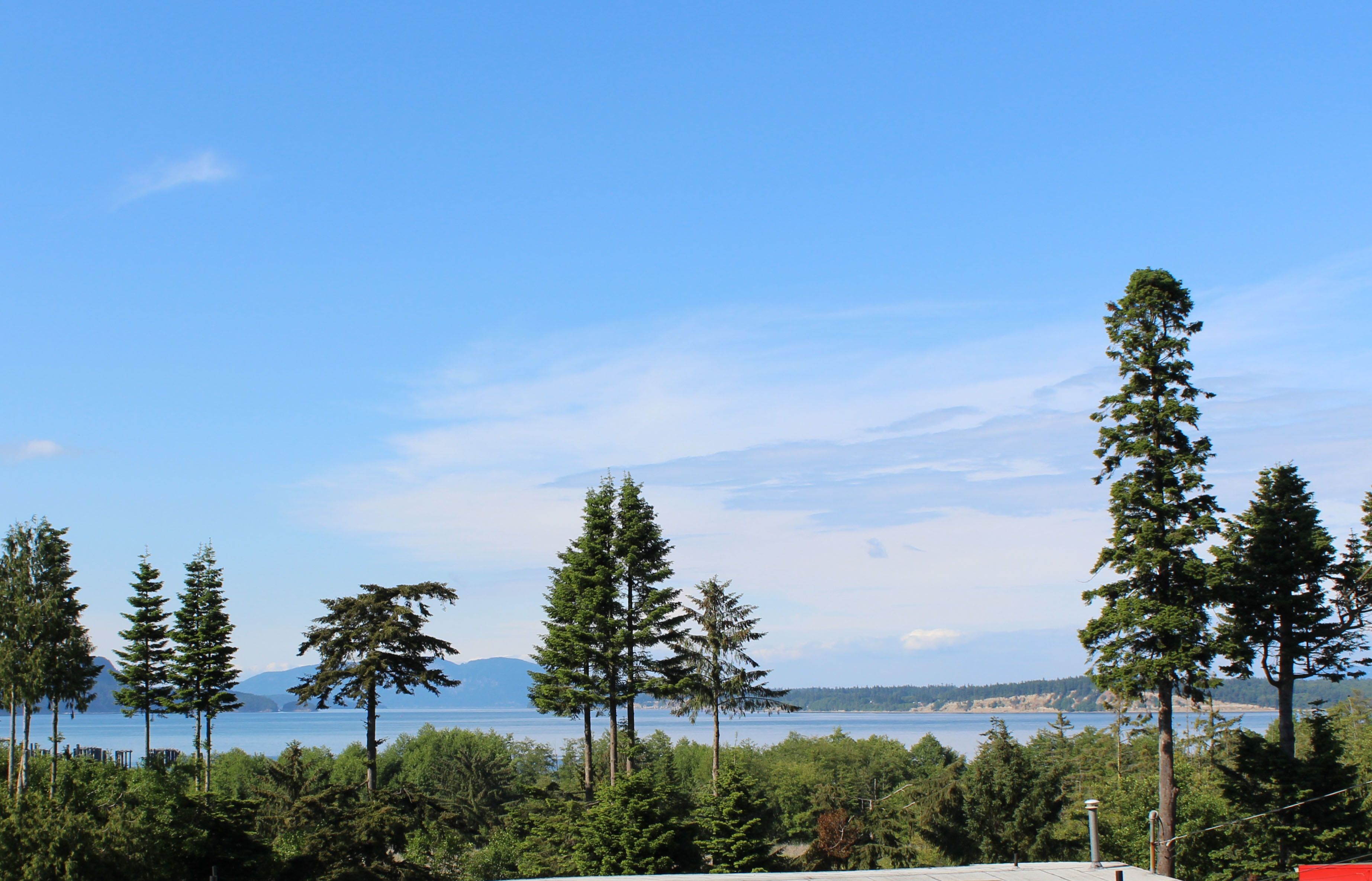 suite | view from room