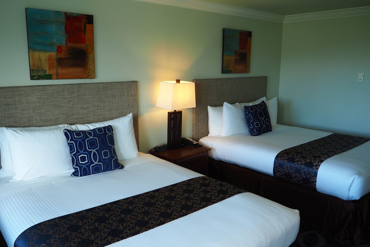 Double Room | Premium bedding, blackout drapes, iron/ironing board, WiFi (free)