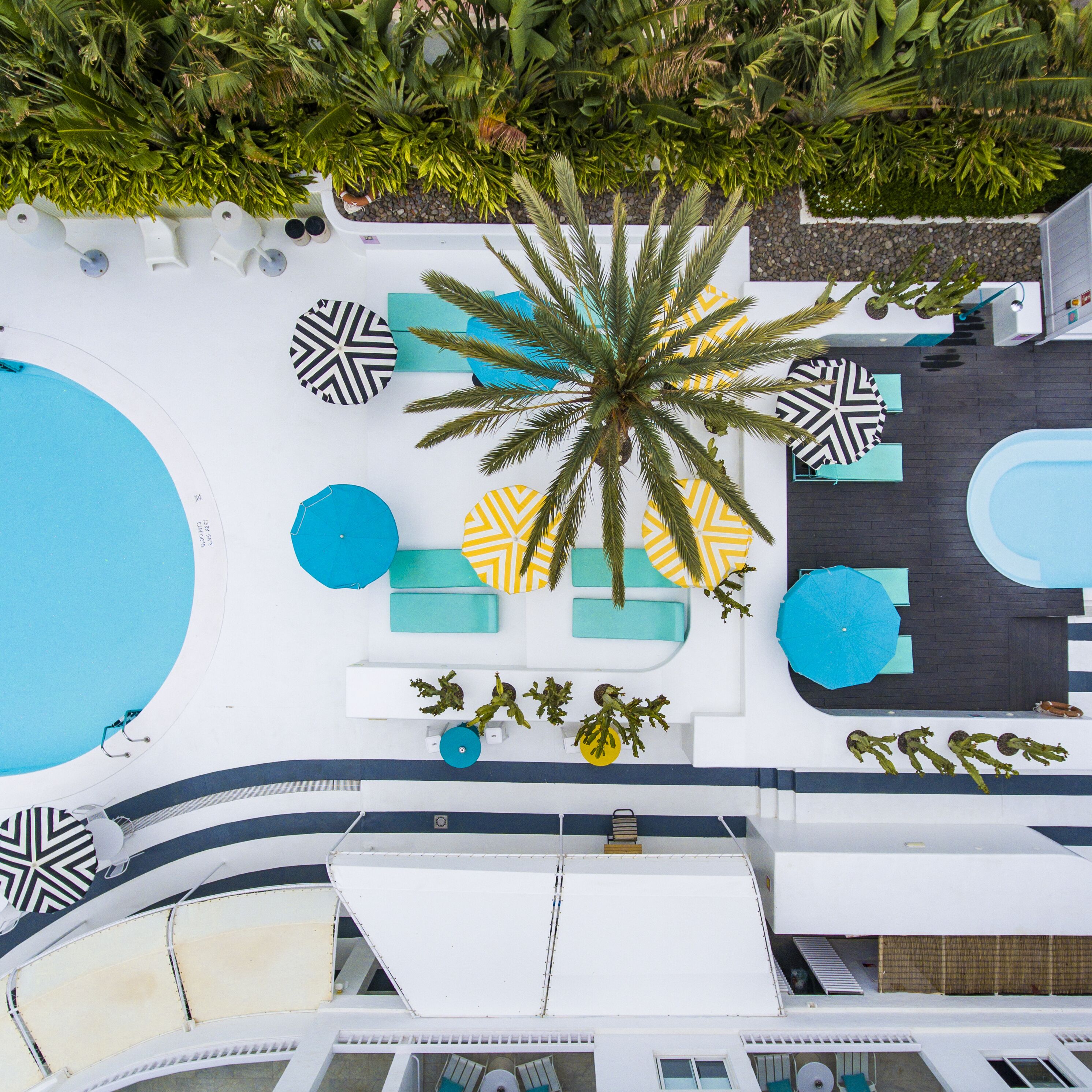Vista aérea de un área de piscina en la azotea con una palmera, tumbonas y una piscina.
