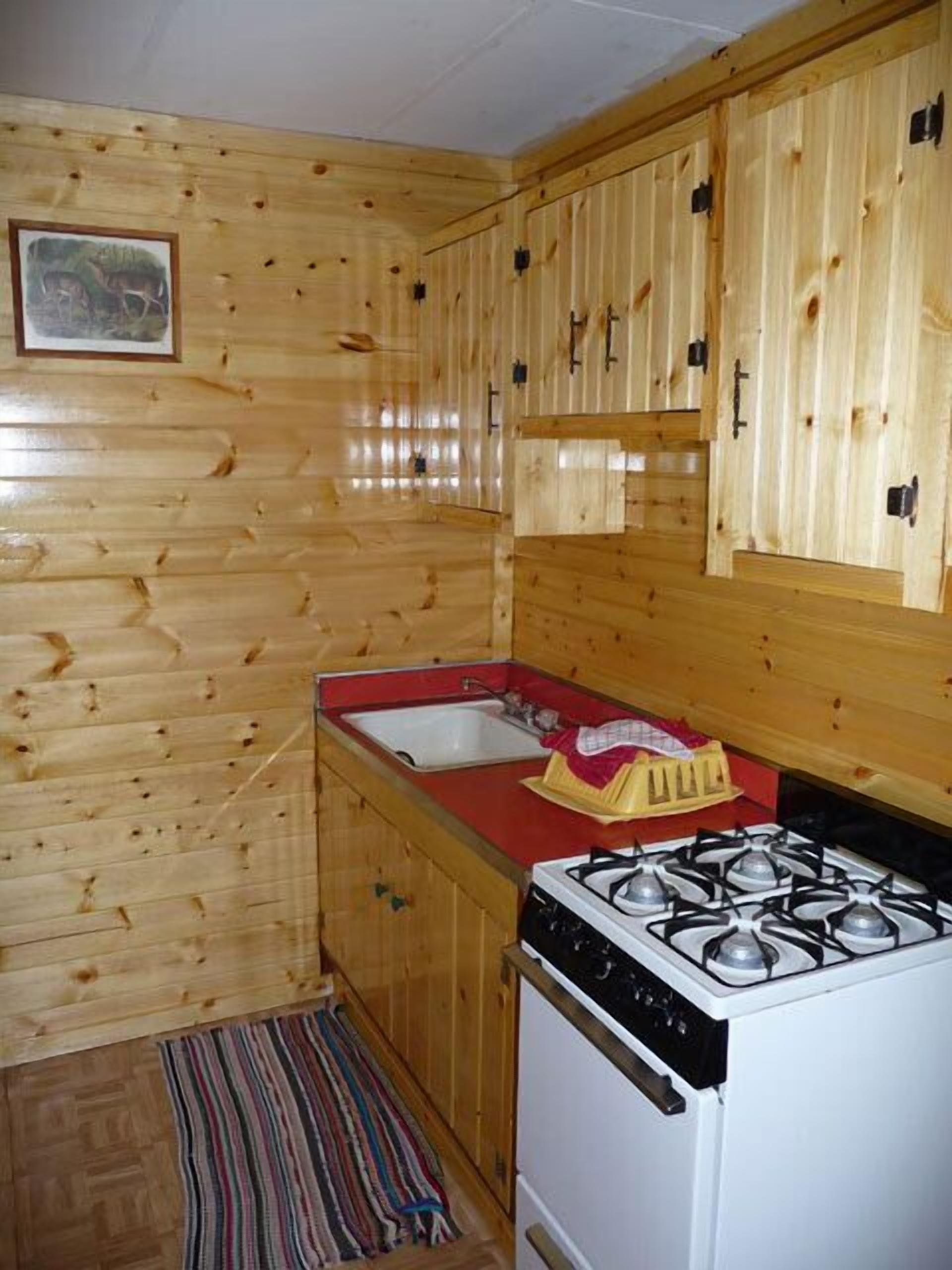 Een kleine keuken met houten wanden, een fornuis, een wastafel en een gestreept vloerkleed.
