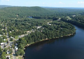 An aerial view of a lakeside community with residential areas, roads, and a dense forest.