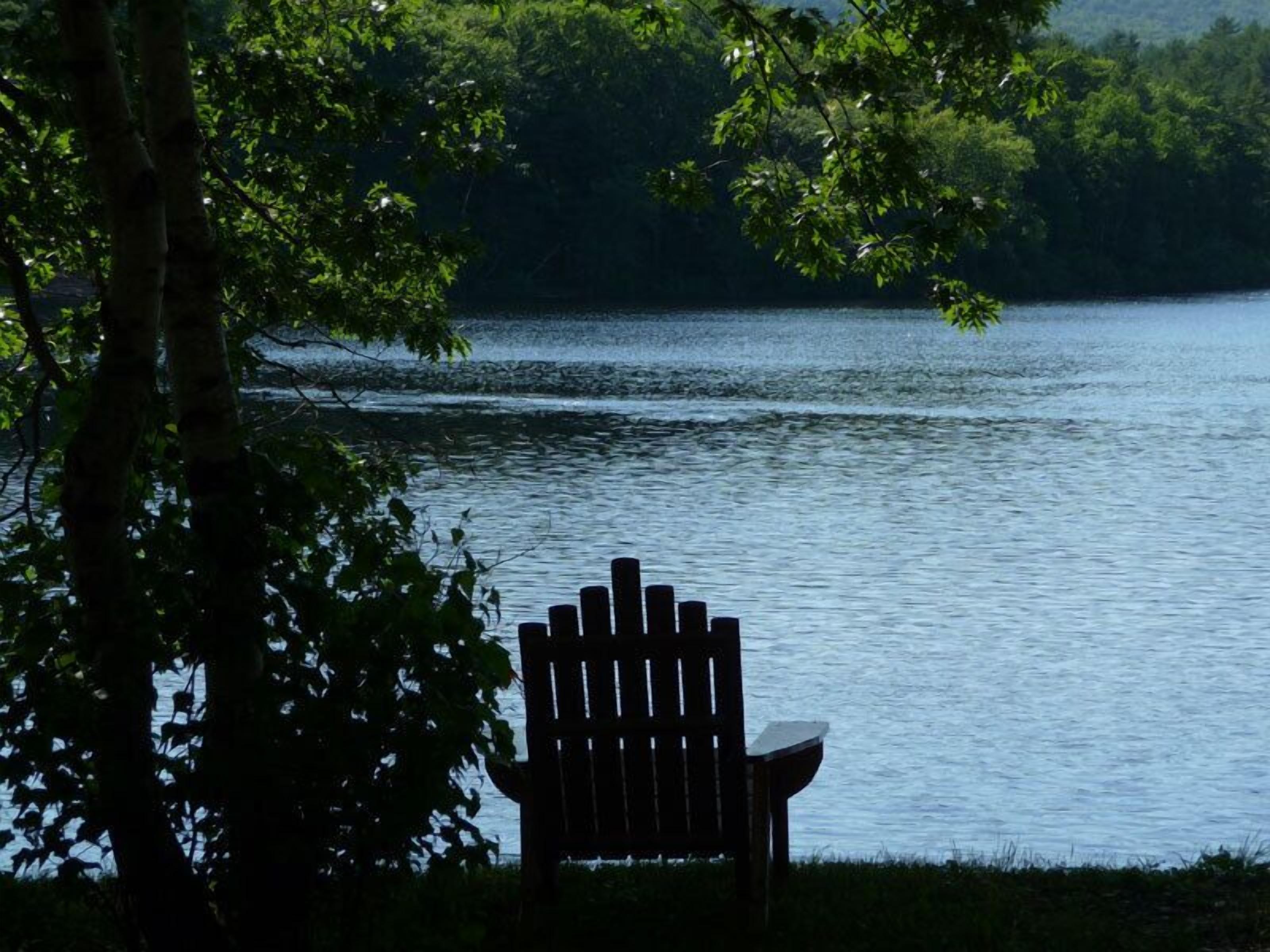 A bench by a lake with trees in the foreground.