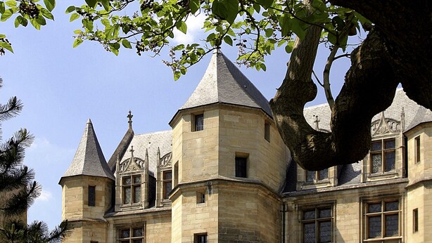 A historic building with multiple towers and a prominent tree in the foreground. - ibis budget Cergy Saint Christophe (Osny)