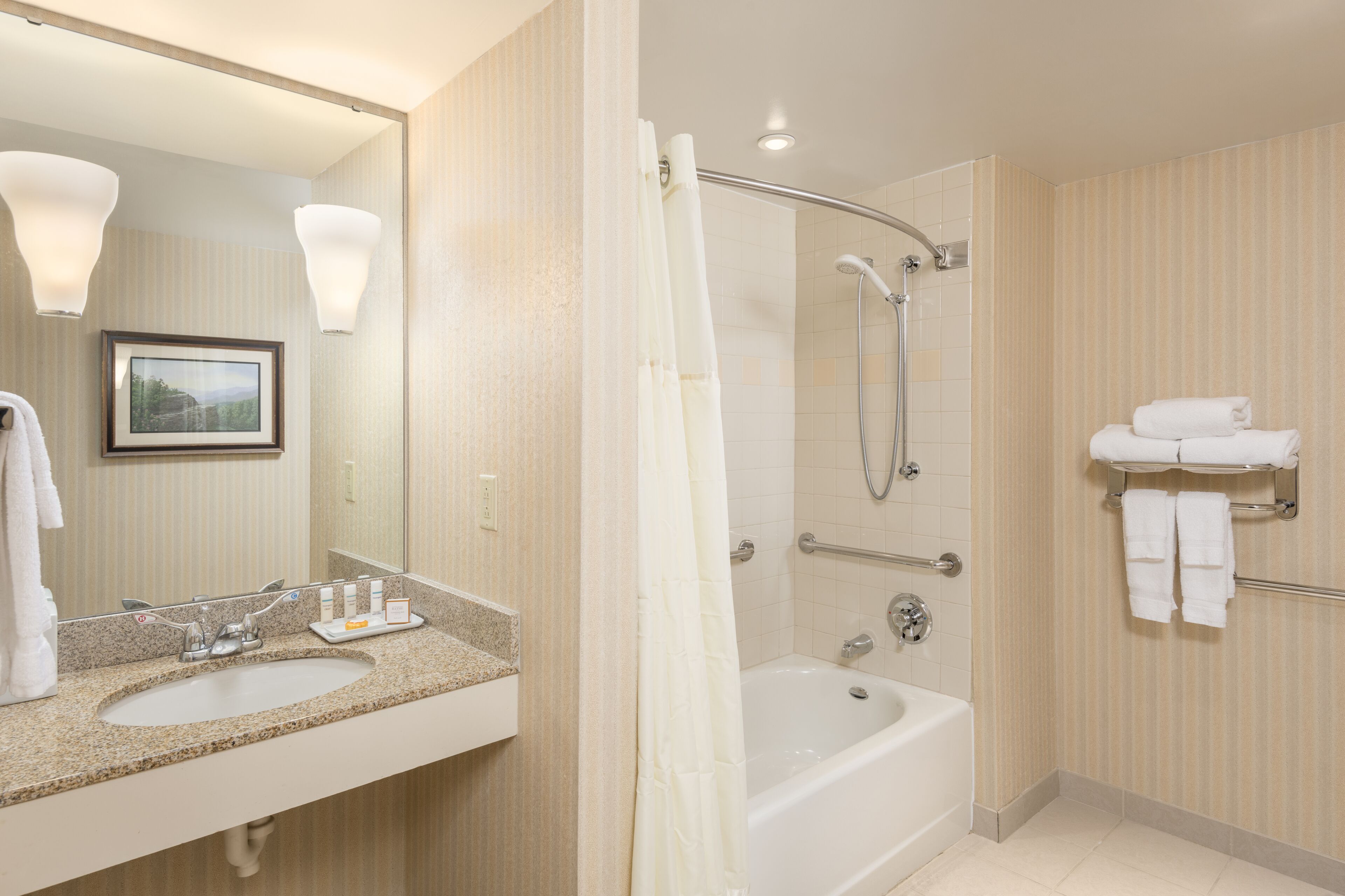A hotel bathroom with a sink, mirror, framed picture, shower, and towel rack.