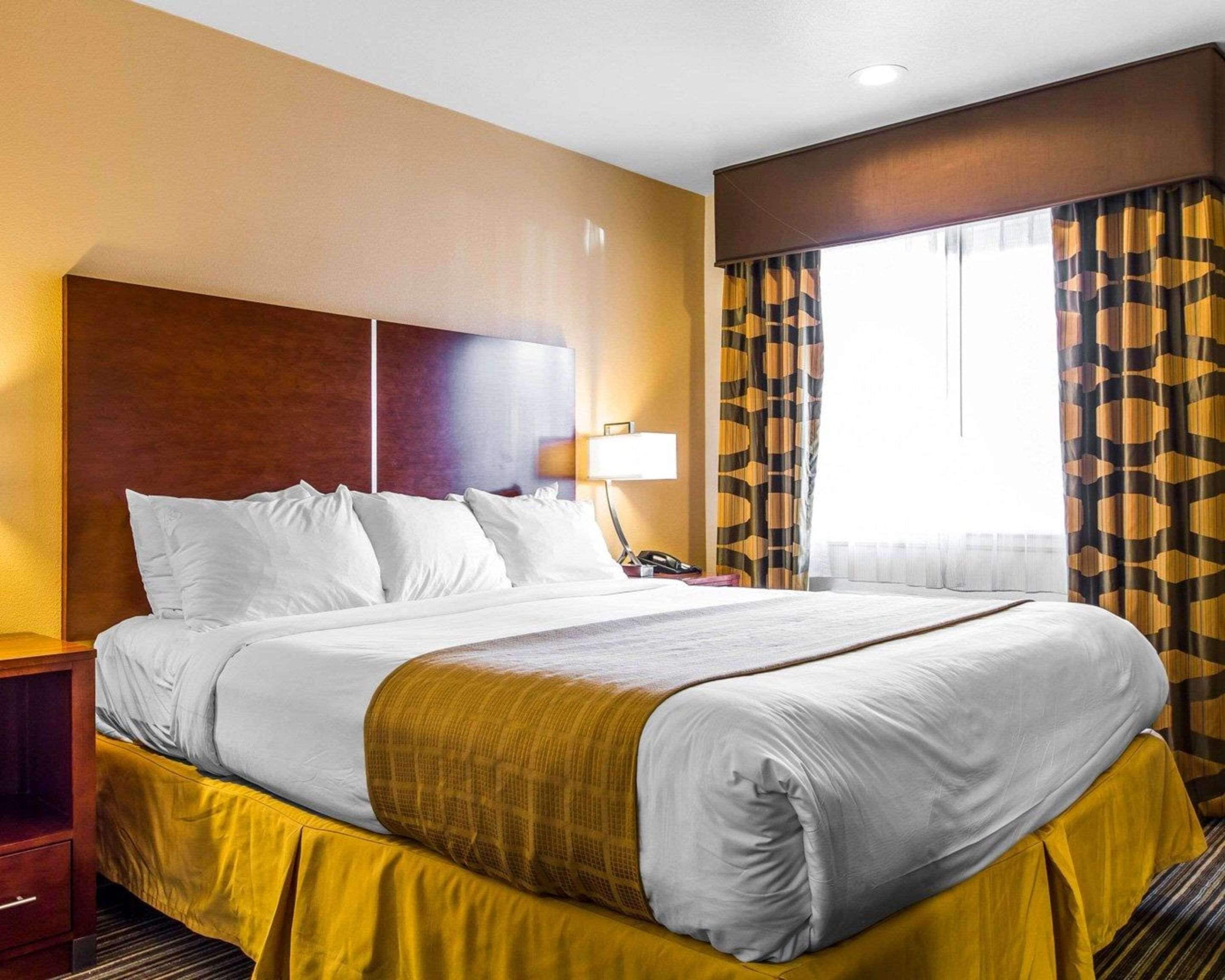 Una habitación de hotel con una cama grande, una mesita de noche, una lámpara y una ventana con cortinas estampadas.