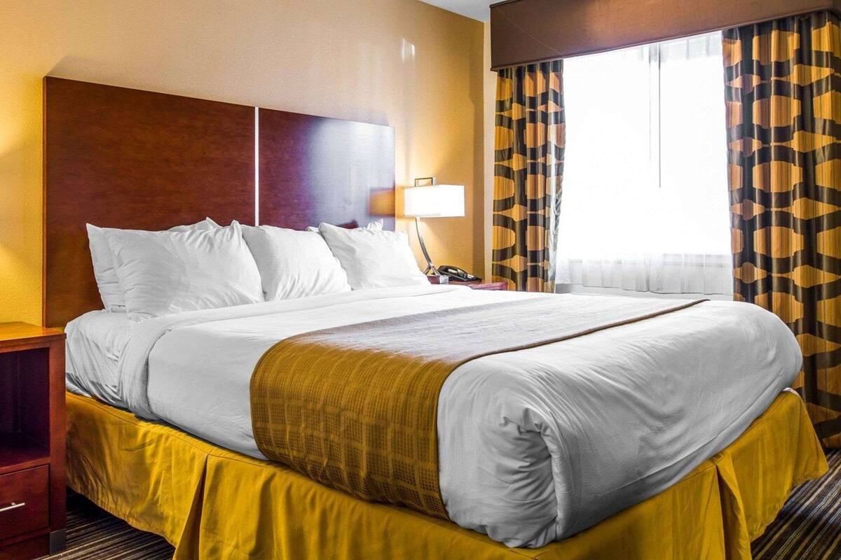 Una habitación de hotel con una cama grande, una mesita de noche, una lámpara y una ventana con cortinas estampadas.