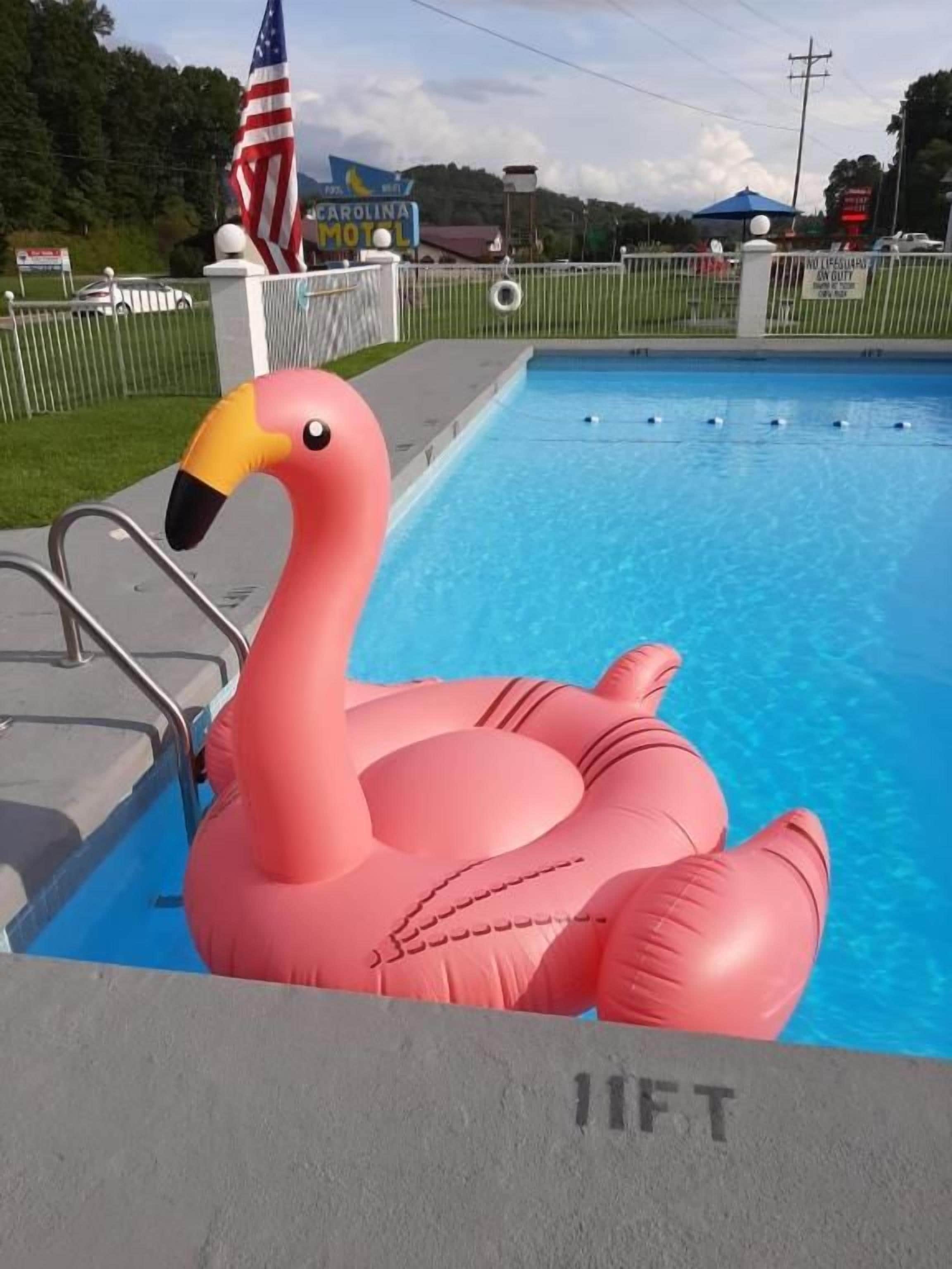 A swimming pool with a pink flamingo float.
