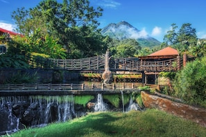 A wooden bridge over a pond with a waterfall, surrounded by lush greenery and a mountain in the background.
