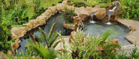 A garden with a pond, rocks, and various plants.