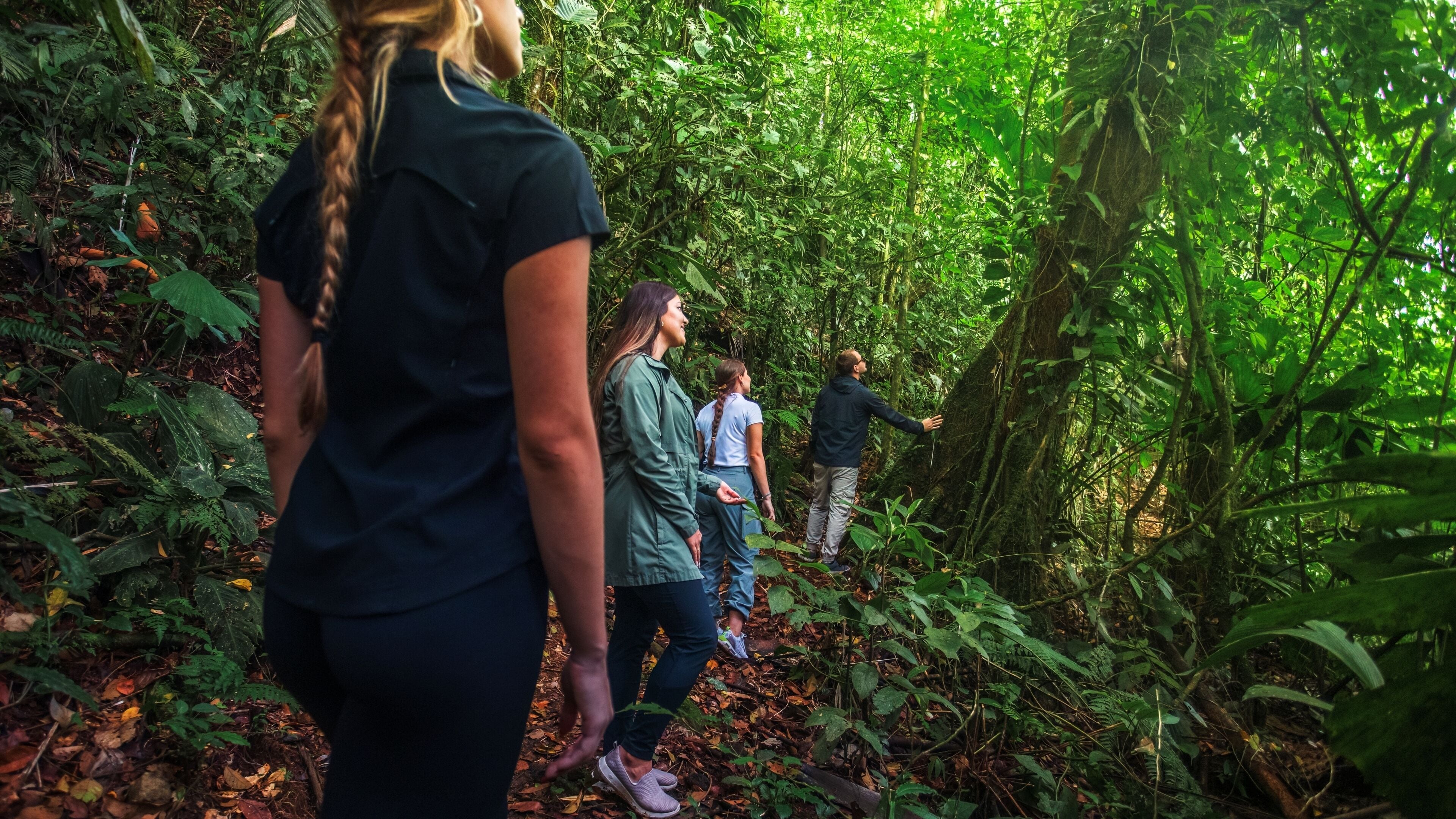 A group of people hiking in a dense forest.