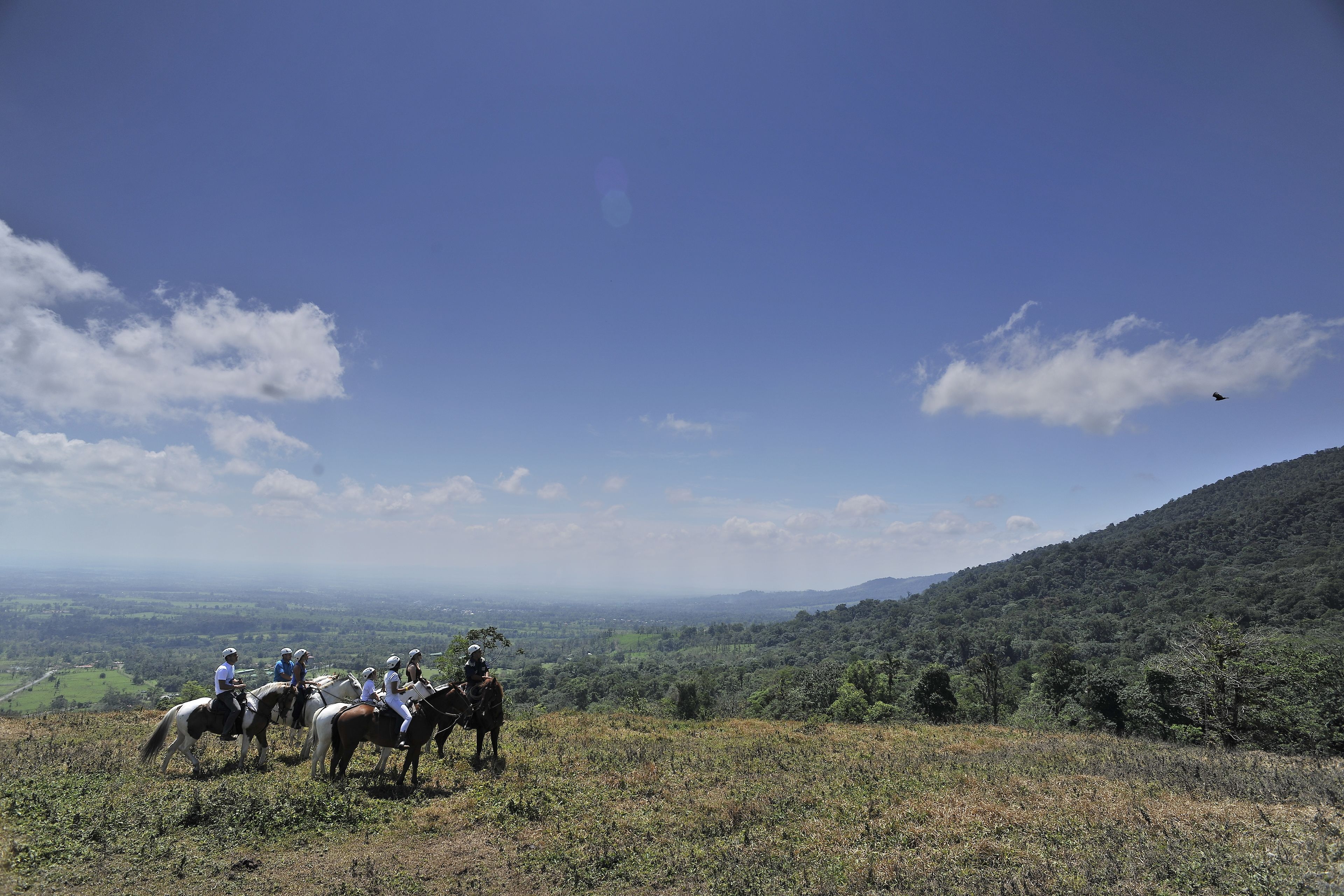A group of people on horseback on a hill with a view of a valley and a forested hill in the distance.