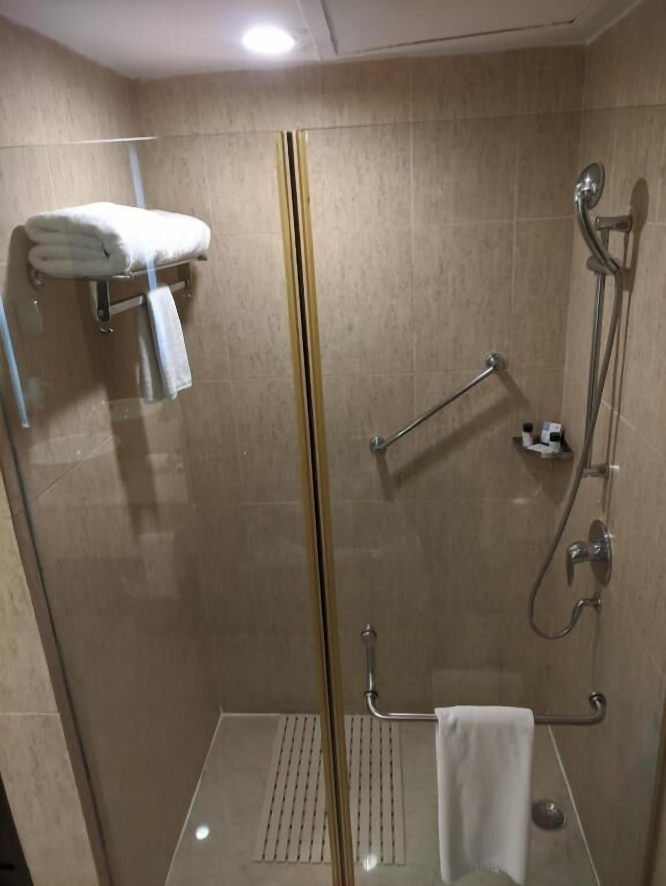 Ducha con mampara de vidrio, barra de apoyo, toallero y cabezal de ducha.