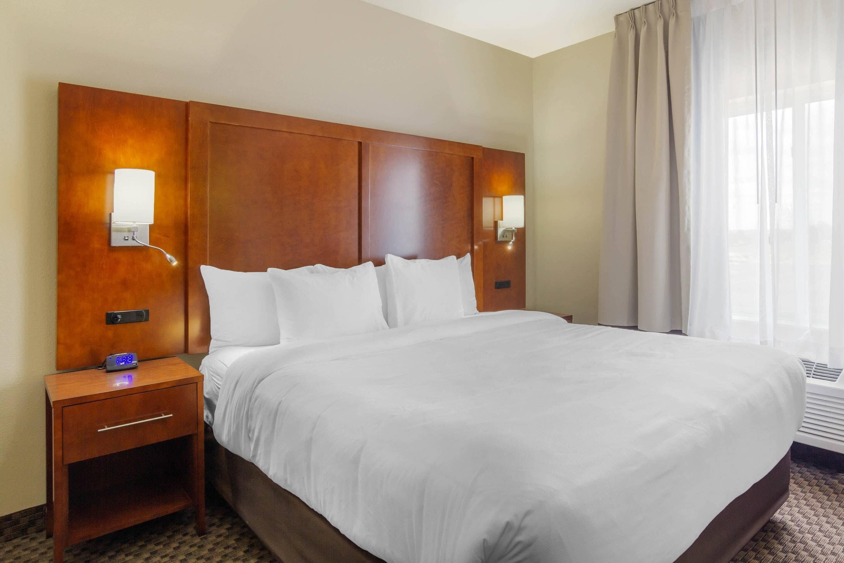 Suite, 1 King Bed with Sofa bed, Non Smoking