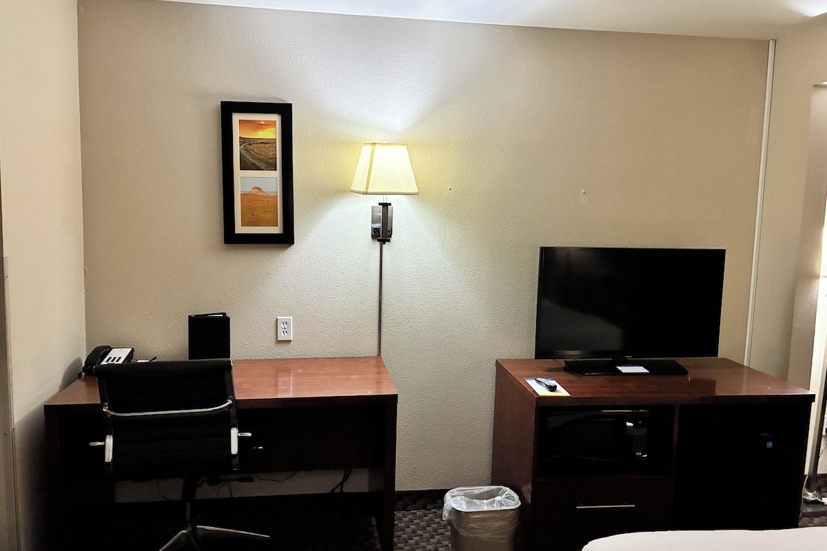 A hotel room with a desk, chair, TV, and a small trash bin.