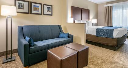 Comfort Suites Batesville
